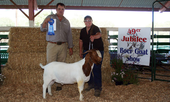 49er Jubilee Boer Goat Winner