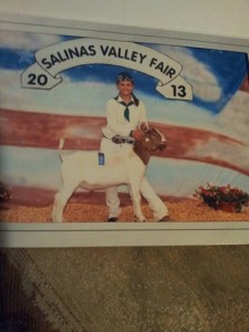 Alex Salinas Valley Fair