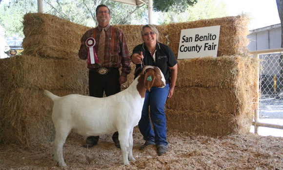 San Benito Country Fair Goat Winner